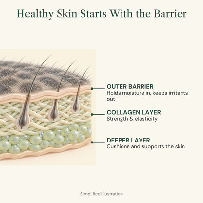 Healthy skin starts with the barrier