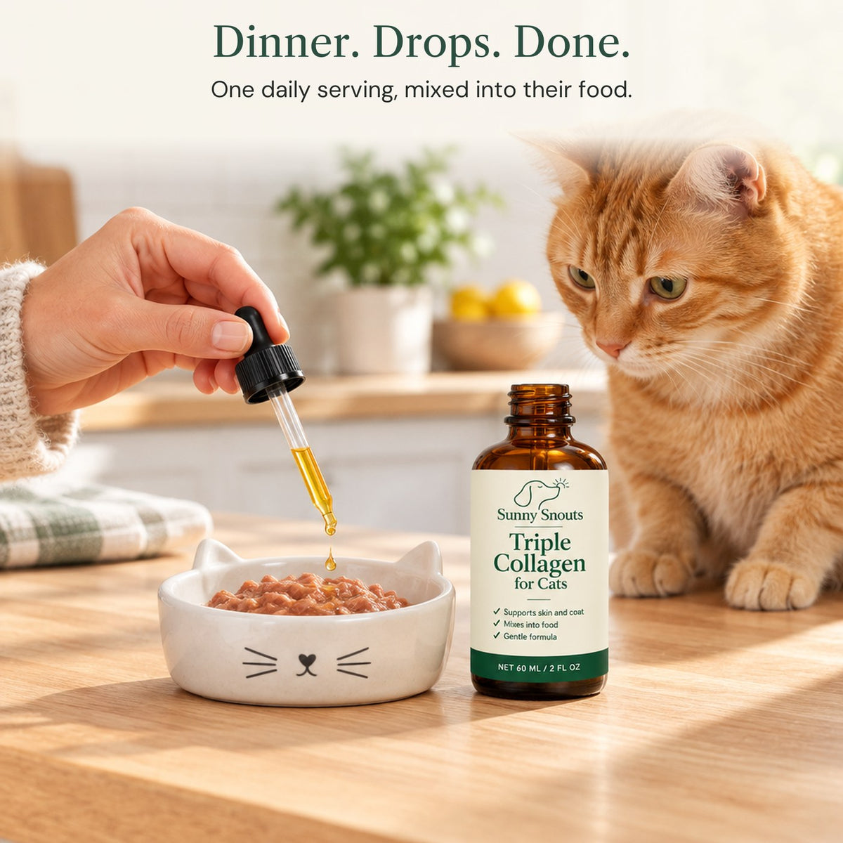 Dinner, drops, done: adding the daily serving to a cat bowl