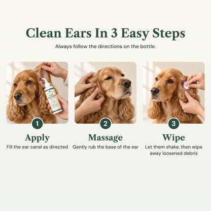 How to clean your pet's ears in 3 steps: apply, massage, wipe