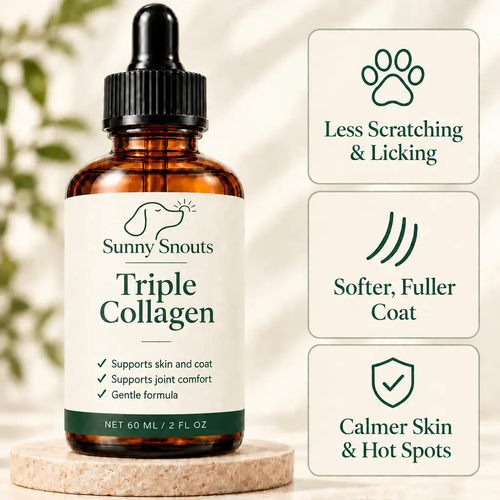 Sunny Snouts Collagen for Dogs