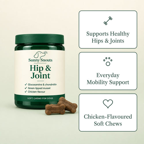 Sunny Snouts Hip & Joint Soft Chews jar with three key benefits