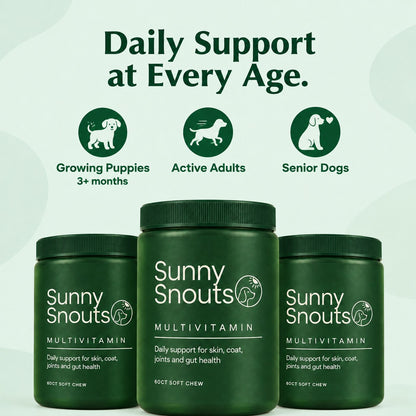 Daily support at every age: growing puppies 3+ months, active adults, senior dogs