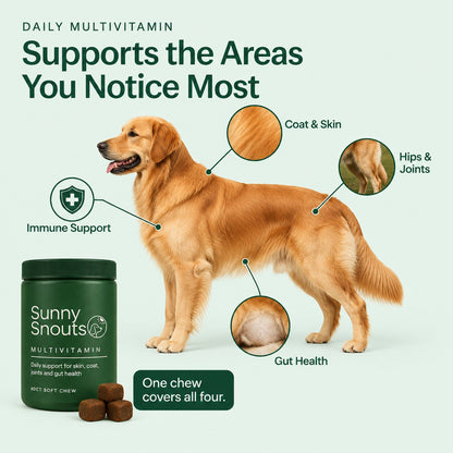 Supports the areas you notice most: coat & skin, hips & joints, gut health, immune support
