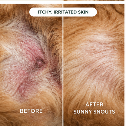 Sunny Snouts Collagen for Dogs